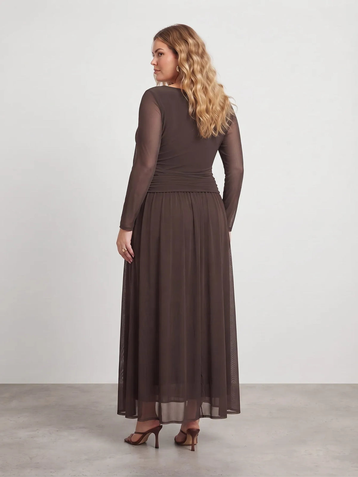 Larui Plus Size Mesh Elegant Long Sleeves Dress